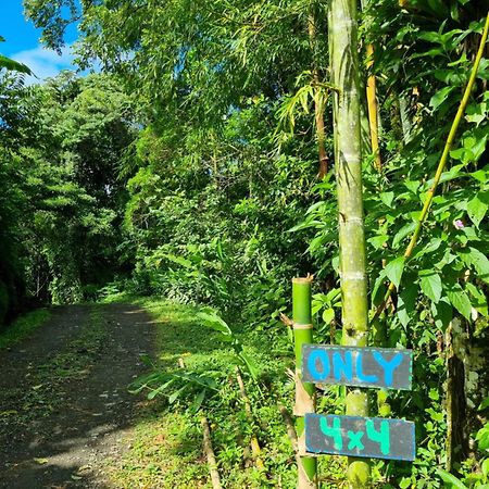 Vulkan Arenal Amazing View Lodge 4 Wd El Castillo Exterior photo