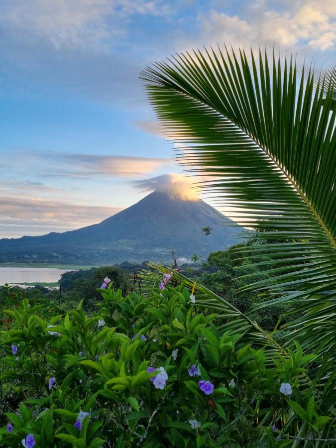 Vulkan Arenal Amazing View Lodge 4 Wd El Castillo Exterior photo