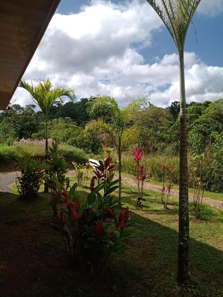 Vulkan Arenal Amazing View Lodge 4 Wd El Castillo Exterior photo